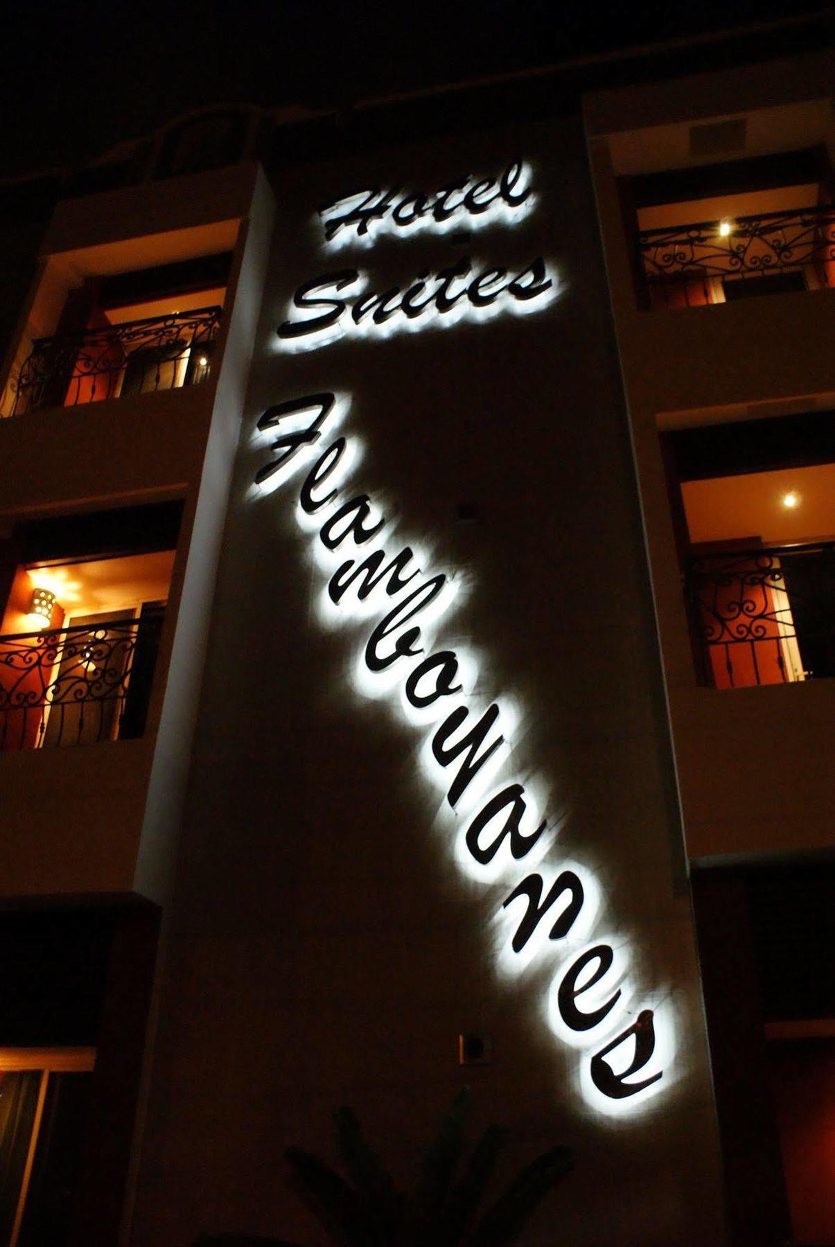 Suites Flamboyanes ميريدا المظهر الخارجي الصورة